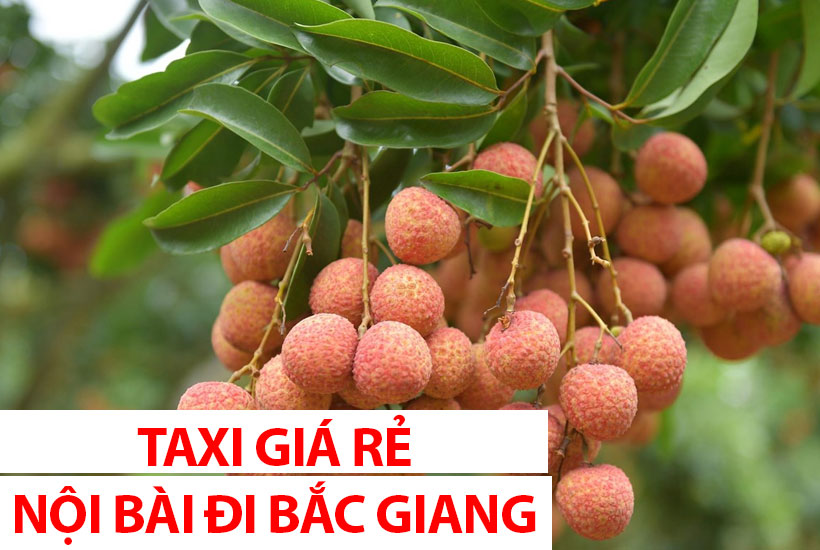 Hướng dẫn gọi xe sân bay Nội Bài đi Bắc Giang – Taxi đi Bắc Giang giá rẻ
