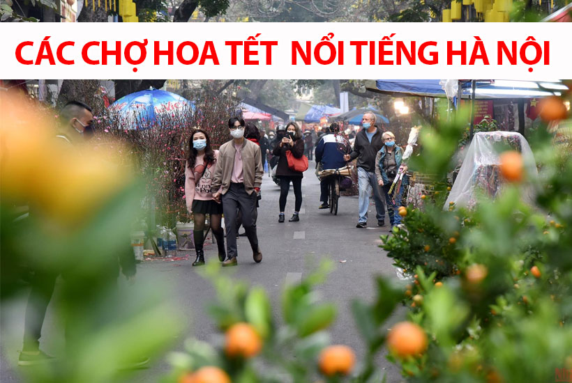 Những chợ hoa Tết nổi tiếng Hà Nội gần sân bay Nội Bài