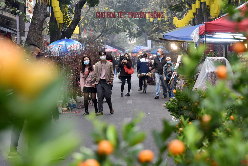 Chợ hoa tết Hàng Lược cách sân bay Nội Bài 26 kilomet