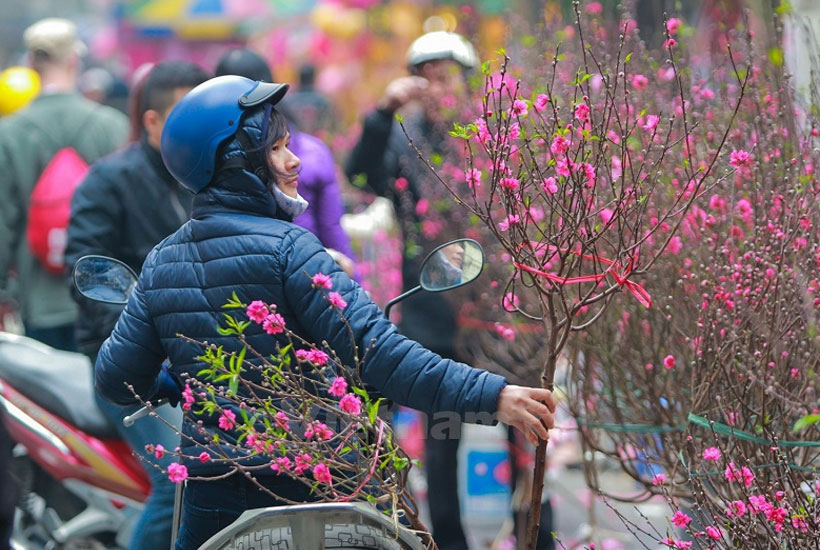 Chợ hoa Lạc Long Quân cách sân bay Nội Bài 22 kilomet